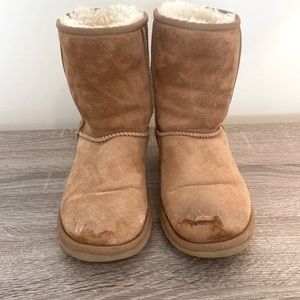 Classic Short Ugg Boots